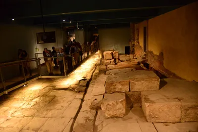 DSC_2633 (Large).JPG